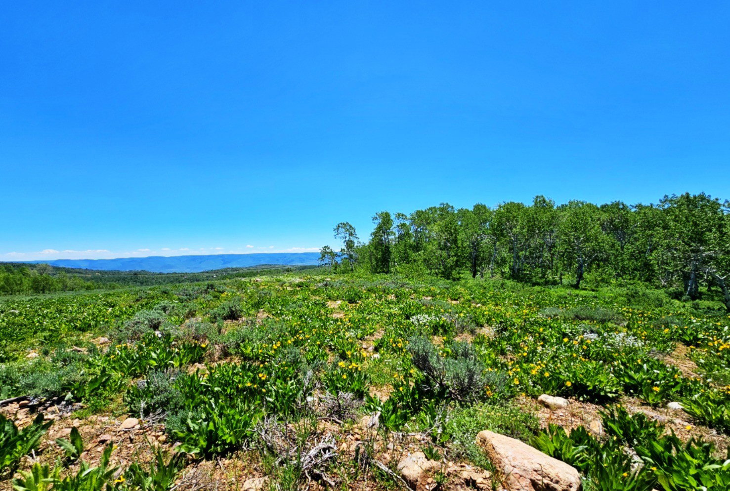 View of mountain background