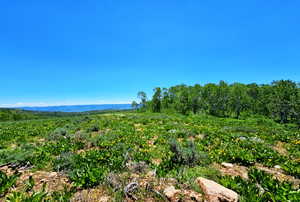 View of mountain background