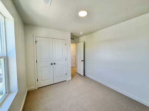 Unfurnished bedroom featuring light carpet, a closet, and multiple windows