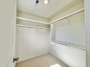 Spacious closet with light carpet