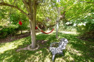 View of green lawn