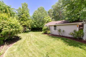 View of grassy yard
