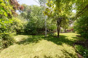 View of green lawn