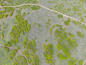 Drone / aerial view of a desert landscape