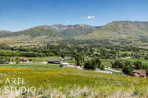 View of mountain background
