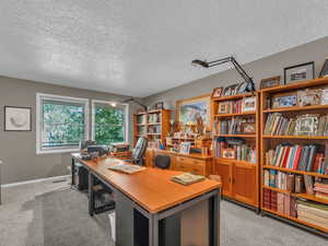 Office space with light colored carpet and a textured ceiling