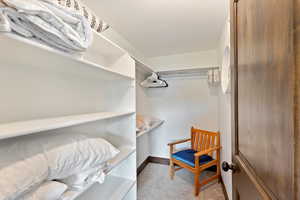 Walk in closet featuring carpet
