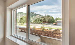 Detailed view of a mountainous background