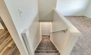 Stairs with carpet flooring and baseboards