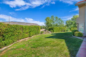 View of grassy yard