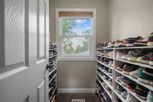 Spacious closet with carpet
