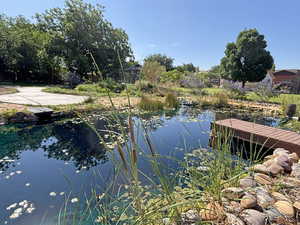 Water view featuring a small pond