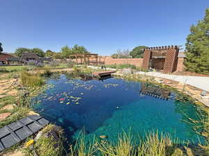 Water view with a garden pond