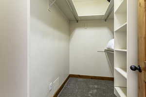 Spacious closet featuring carpet