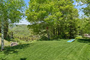 View of green lawn