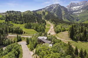 View of mountain background with a forest