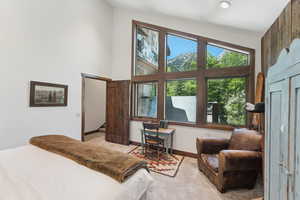 Carpeted bedroom with baseboards and a towering ceiling