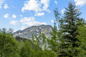 View of mountain backdrop