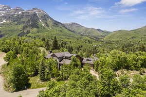 View of mountain backdrop with a forest