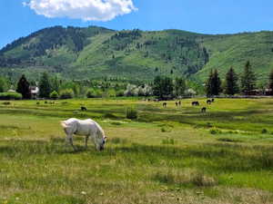 View of mountain background with rural landscape and a pastoral area
