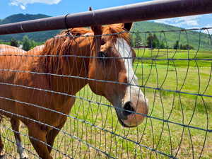 Stable featuring a mountain view
