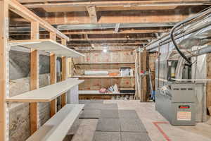 Basement storage room