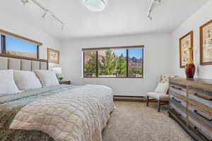 Bedroom with track lighting, a baseboard radiator, and carpet