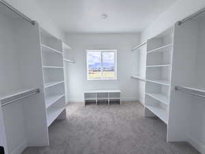 Spacious closet with light colored carpet