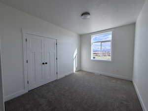 Unfurnished bedroom featuring carpet floors, a closet, and a textured ceiling