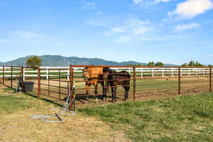 Livestock fenced area and a mountain view
