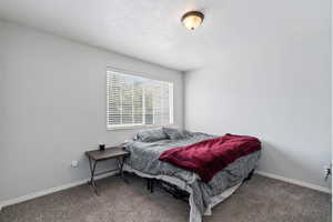 Bedroom with carpet