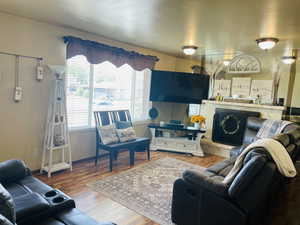 Living room featuring wood finished floors