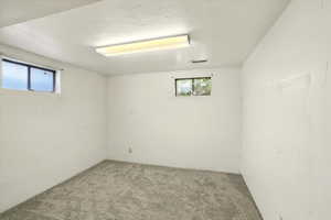 Below grade area with carpet and plenty of natural light