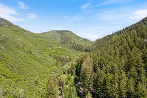 View of mountain background featuring a forest