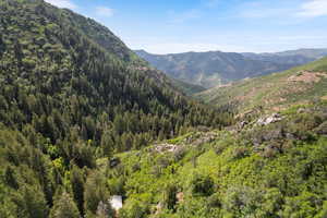 View of mountain backdrop with a forest