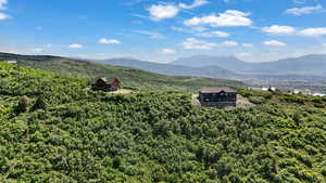 View of mountain backdrop with a heavily wooded area