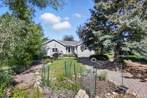 View of back of house featuring a garden and yard