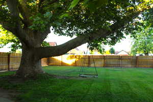 View of fenced backyard and mature tree