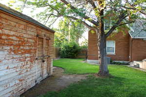 View of yard with mature tree