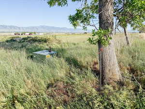 View of yard featuring a view of countryside and a mountain view