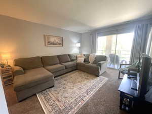 Living area featuring carpet floors