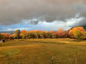 Views from the back deck in fall
