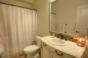 Full bathroom featuring vanity, decorative backsplash, and a shower with curtain