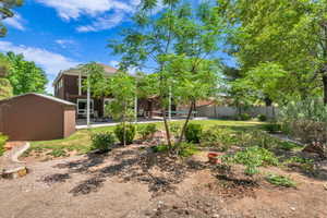 View of yard featuring a patio area and a storage unit