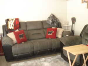 View of living area