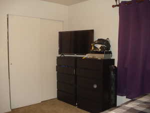Carpeted bedroom featuring a closet