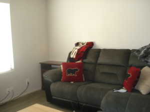 Living room with wood finished floors and baseboards