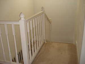 Stairs with carpet