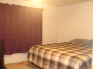 Bedroom featuring light colored carpet