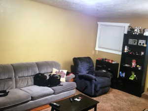 Back House Carpeted living room with a textured ceiling